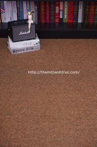 Thảm Cuộn Malaisia TT206
