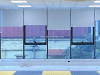 Rèm Cuốn Văn Phòng