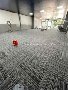 Thảm Tấm Đế Nhựa
